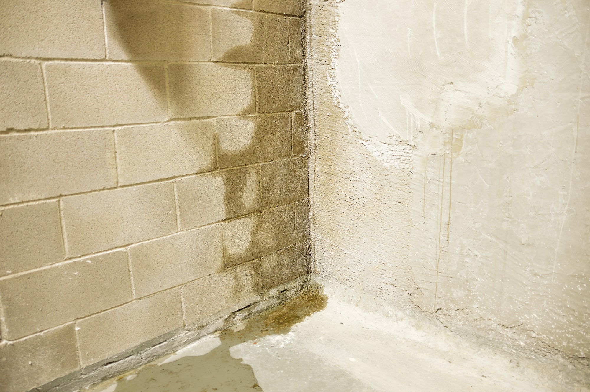 Rohrbruch feuchte Wand